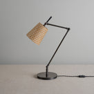 Focused Table Lamp Base in Waxed Brass, With Focused Empire Batik Paper Lamp Shade in Spotty Dotty Tan - Nicola Harding