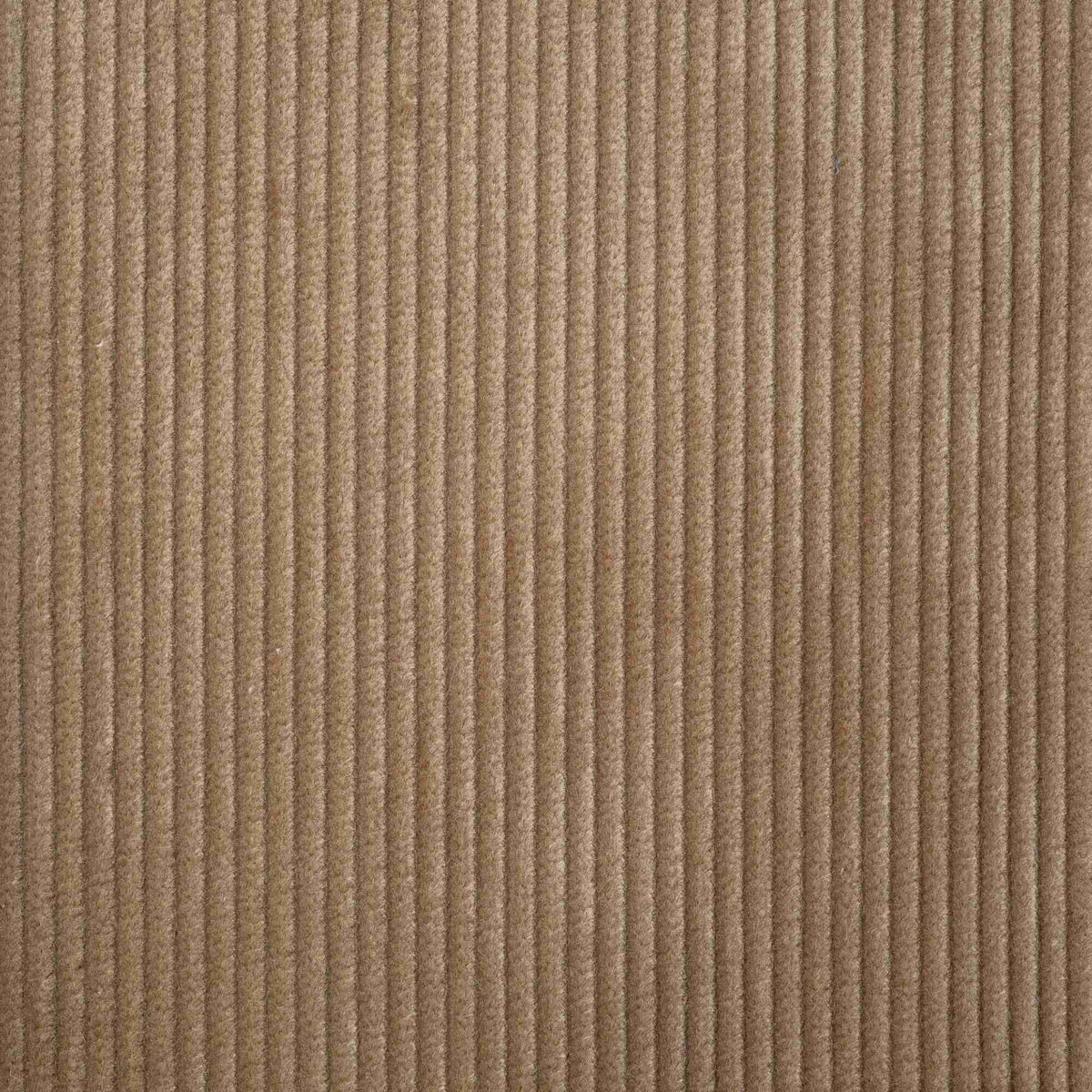 Flat lay of Stone Beige Classic Corduroy, a durable fabric.