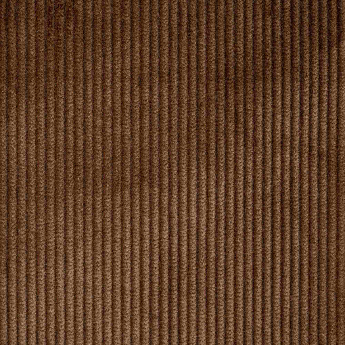 Texture Closeup of Heavy-weight Organic Cotton, Classic Corduroy Tobacco