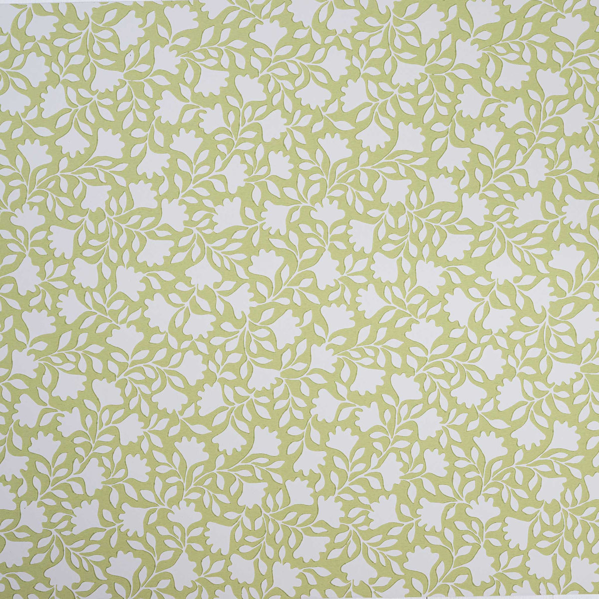 Ginko Wallpaper in Moss Green - Nicola Harding